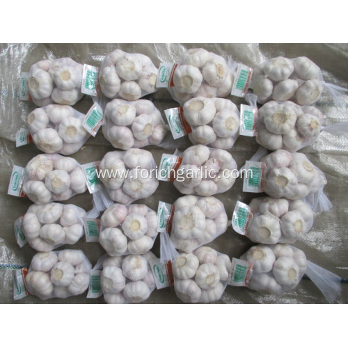 White Garlic Normal Garlic Crop 2020